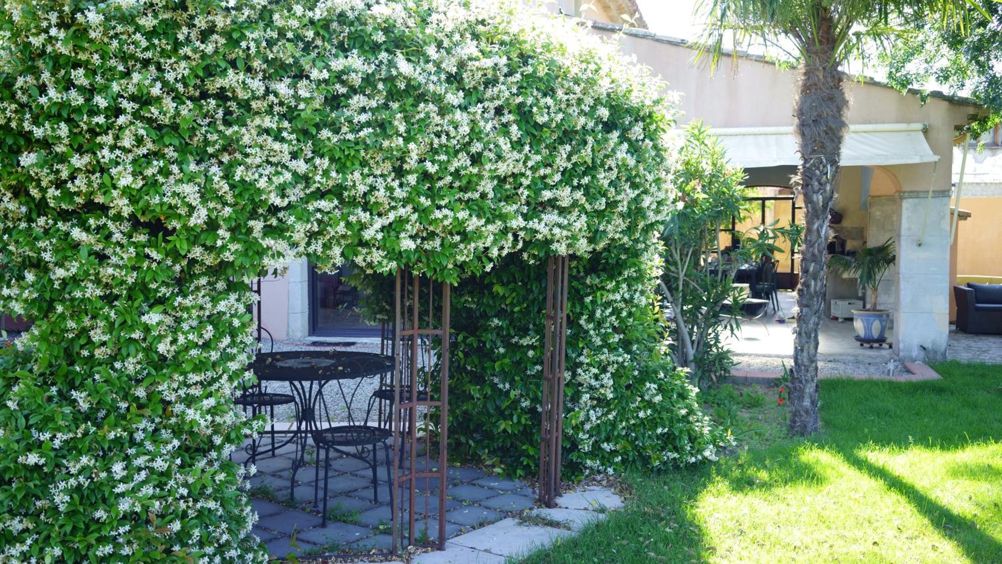 Chambres D'Hotes, B&B La Musardiere Alba-la-Romaine Esterno foto